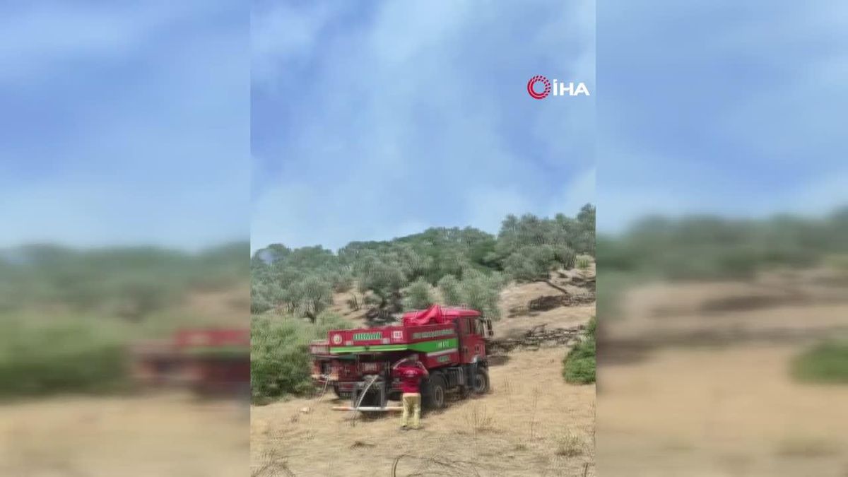 Çine\'deki yangın kontrol altına alındı