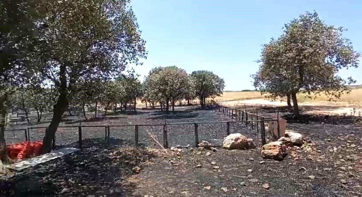 Diyarbakır ve Mardin\'deki Yangının Çıkış Nedeni Araştırılıyor