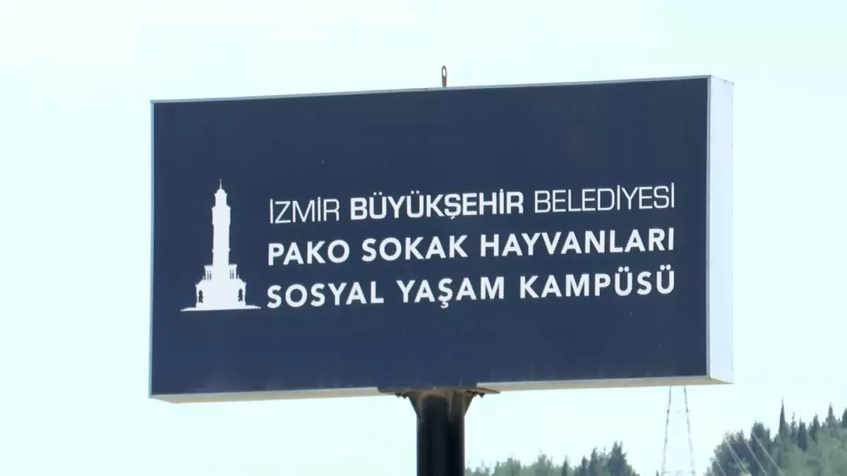 İzmir Büyükşehir Belediyesi\'nden Sahipsiz Hayvanlara Destek