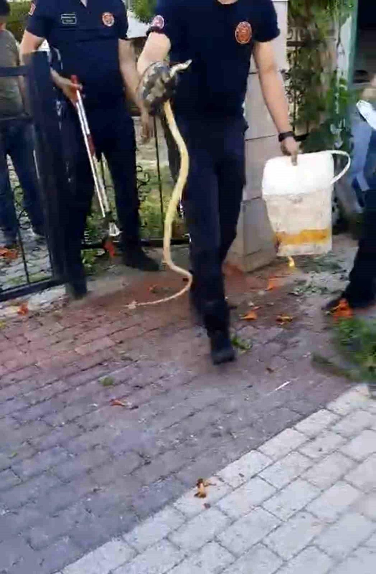 Bursa\'da İtfaiye Ekipleri Yılanı Yakaladı