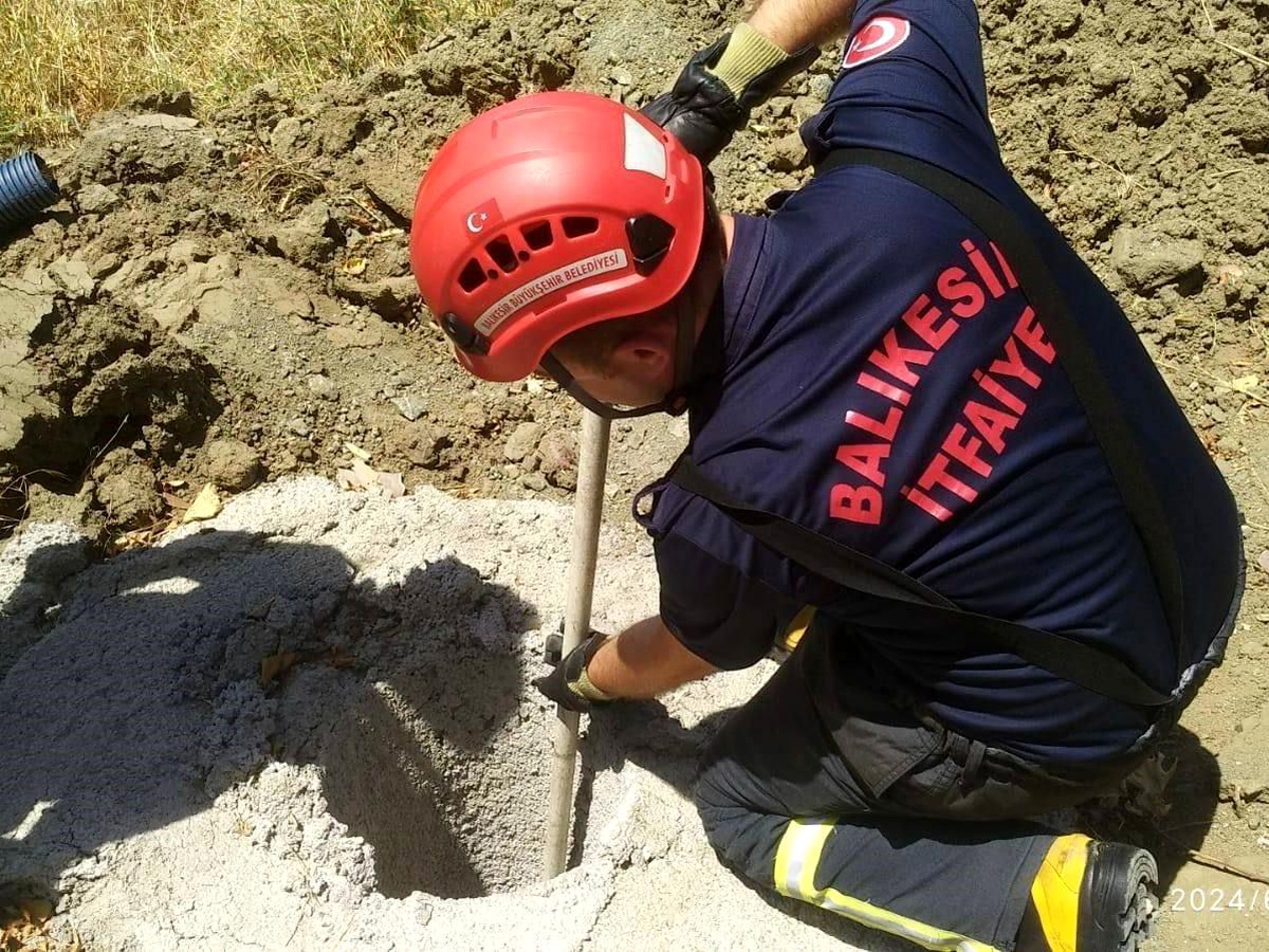 Erdek İtfaiyesi, Çukura Düşen Yavru Domuzu Kurtardı