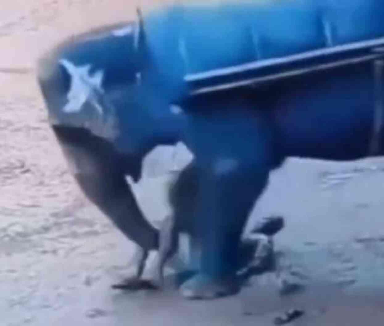 File uyguladığı şiddetin bedelini canıyla ödedi! Tonlarca ağırlıktaki ayakların altında ezildi