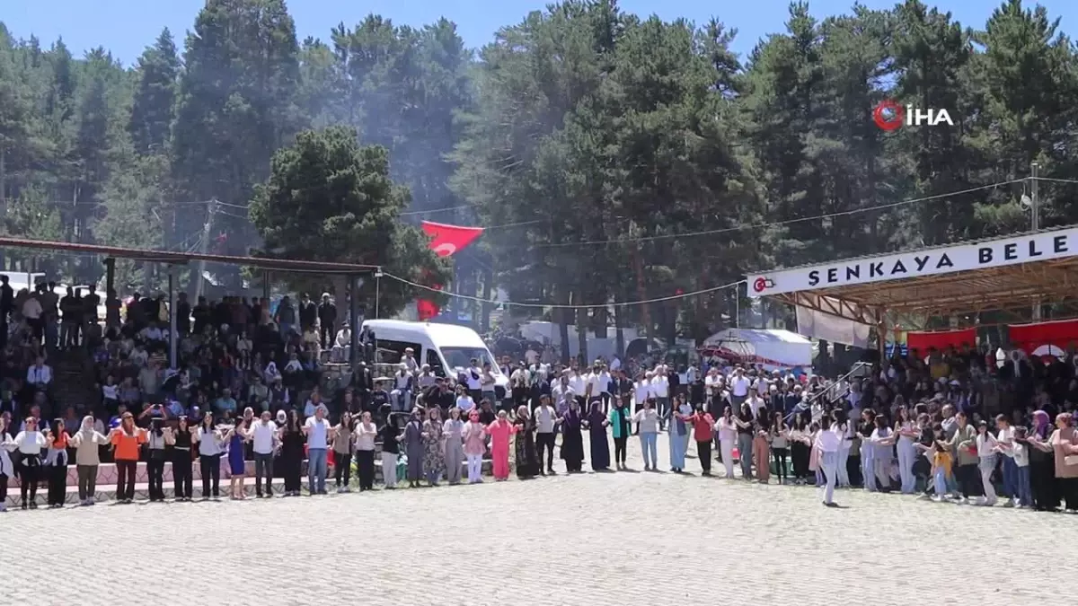 Şenkaya\'da festival coşkusu Kafkas ekibi ve atlı cirit gösterisi nefes kesti