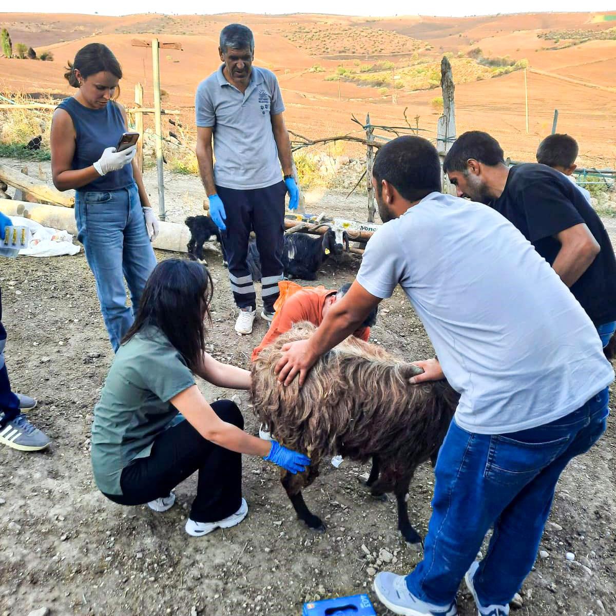 Adıyaman Belediyesi Mardin ve Diyarbakır\'daki Yangın Bölgesine İtfaiye ve Veteriner Desteği Verdi