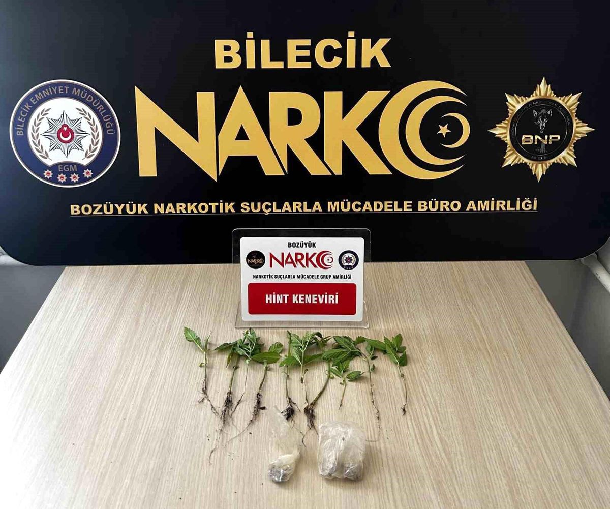 Bozüyük\'te Uyuşturucu Yetiştiren Şüpheli Yakalandı