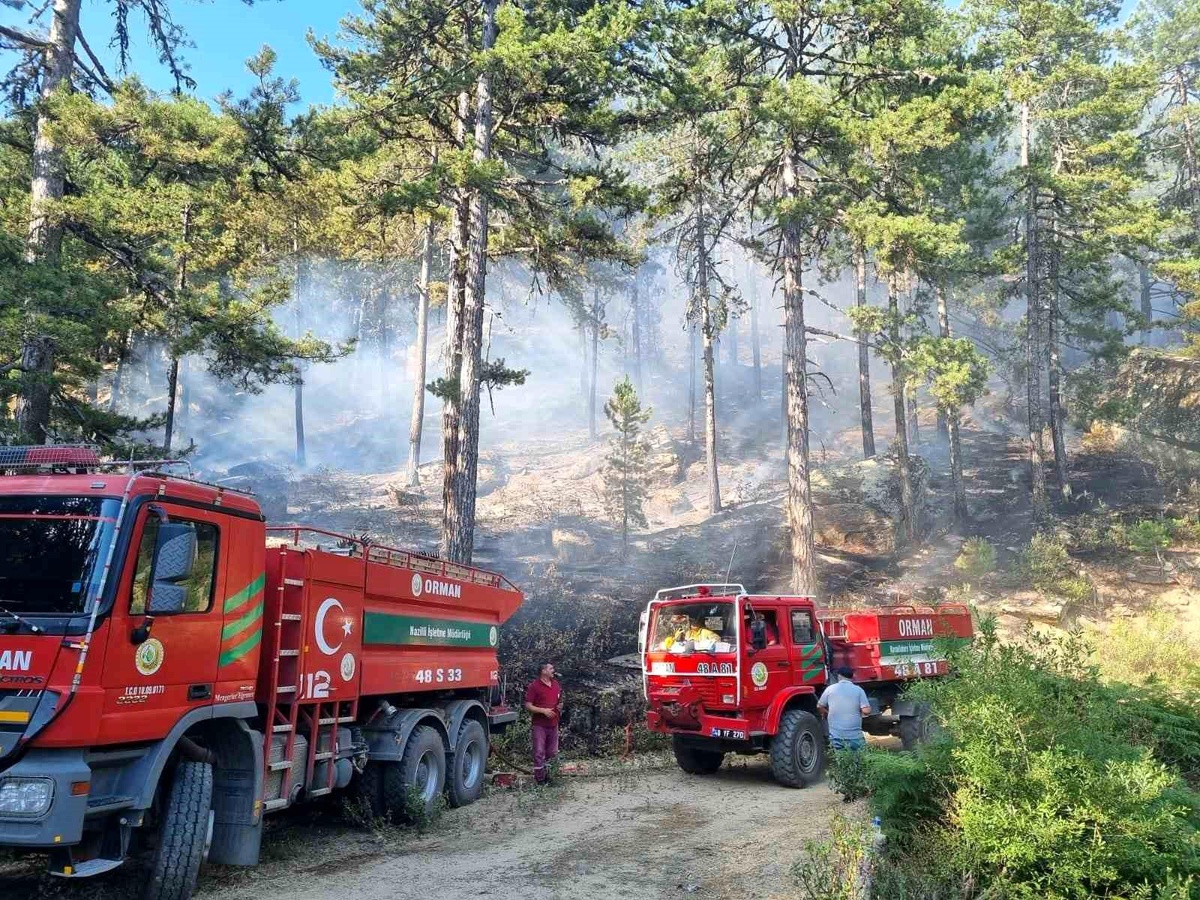 Bozdoğan Kaymakamlığı\'ndan Orman Yangınlarına Karşı Uyarı