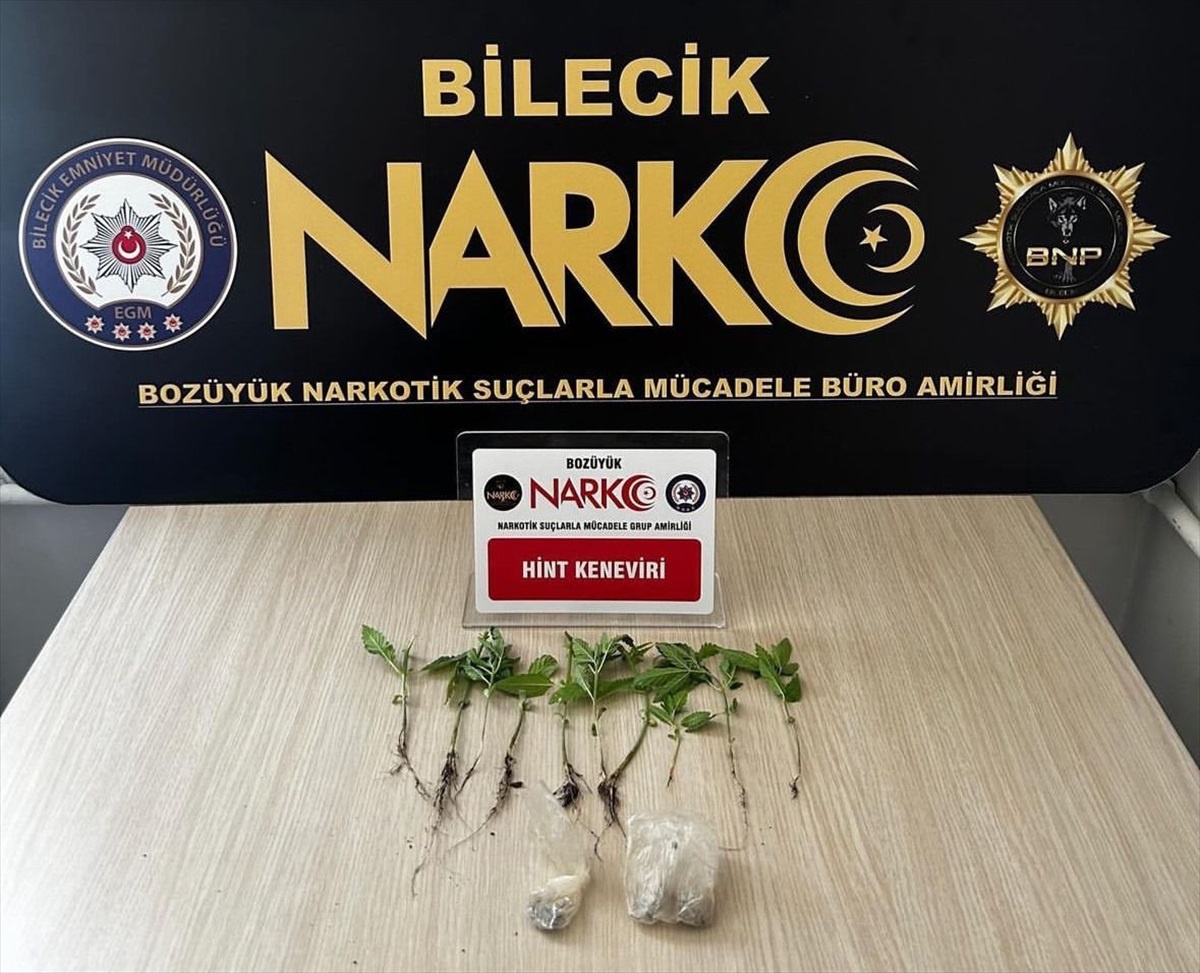 Bozüyük\'te evde esrar yetiştiren şüpheliye yasal işlem