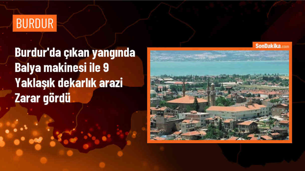 Burdur\'da çıkan yangında 9 dekarlık arazi zarar gördü