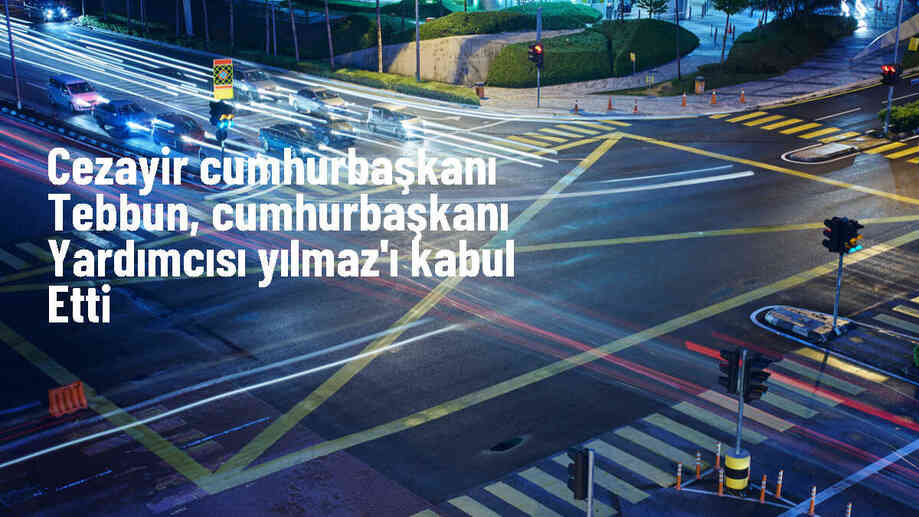 Cezayir Cumhurbaşkanı Tebbun, Cumhurbaşkanı Yardımcısı Yılmaz\'ı kabul etti