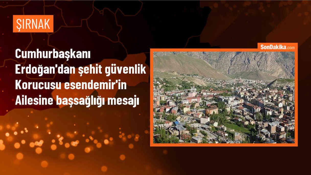 Cumhurbaşkanı Erdoğan\'dan şehit güvenlik korucusu Esendemir\'in ailesine başsağlığı mesajı