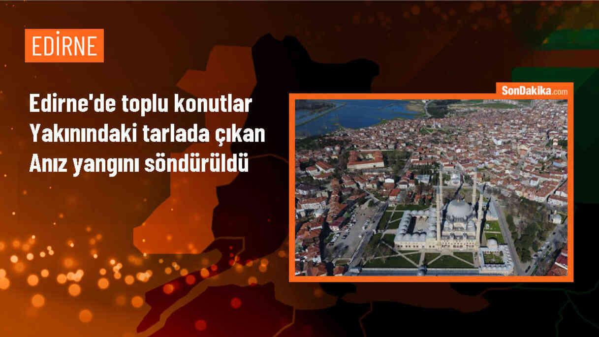 Edirne\'de Anız Yangını: 90 Dekar Tarım Arazisi ve Ağaçlar Zarar Gördü