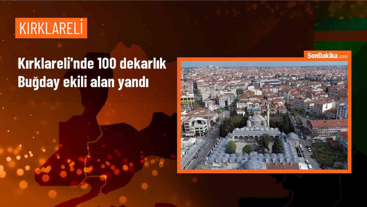 Kırklareli\'nde 100 Dekarlık Buğday Tarlasında Yangın