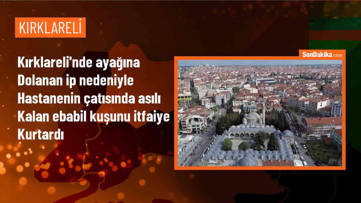 Lüleburgaz\'da itfaiye ekipleri tarafından kurtarılan ebabil kuşu doğaya salındı