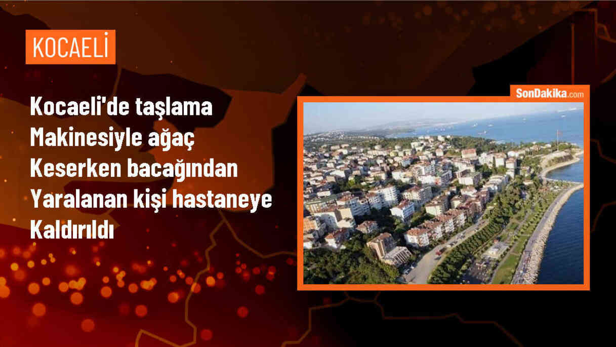 Gebze\'de Taşlama Makinesiyle Ağaç Keserken Yaralanan Kişi Hastaneye Kaldırıldı