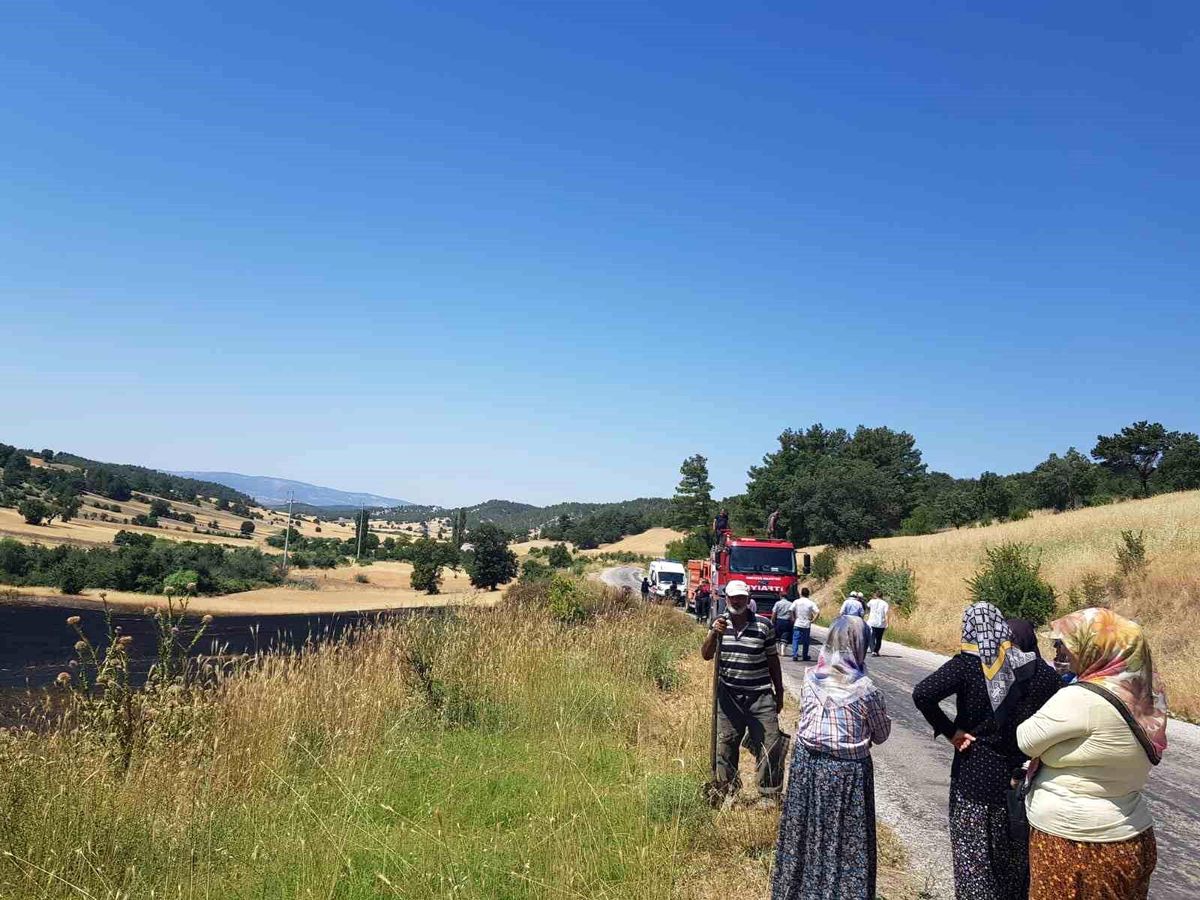 Kütahya\'da buğday tarlasında çıkan yangın kontrol altına alındı