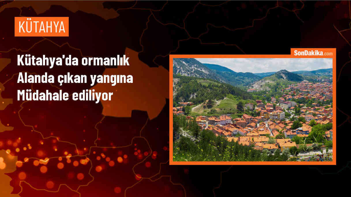 Kütahya\'da Orman Yangını: Havadan ve Karadan Müdahale Başlatıldı