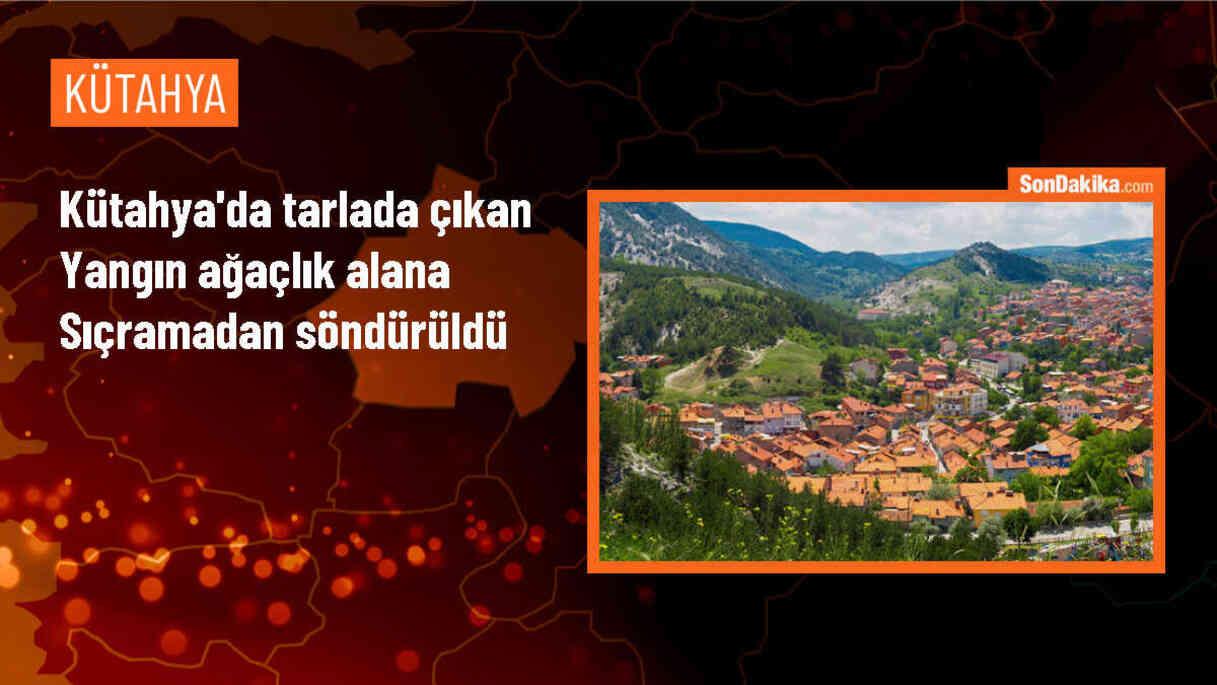 Kütahya\'da buğday tarlasında çıkan yangın kontrol altına alındı