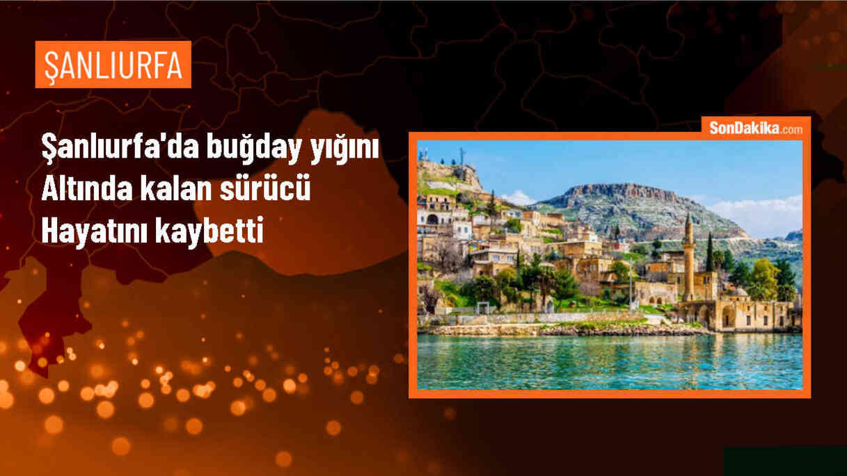 Şanlıurfa\'da Kamyonun Altında Kalarak Hayatını Kaybeden Sürücü
