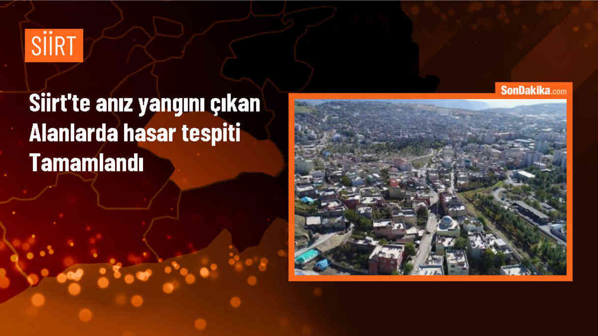 Siirt\'te anız yangınında hasar tespiti yapıldı