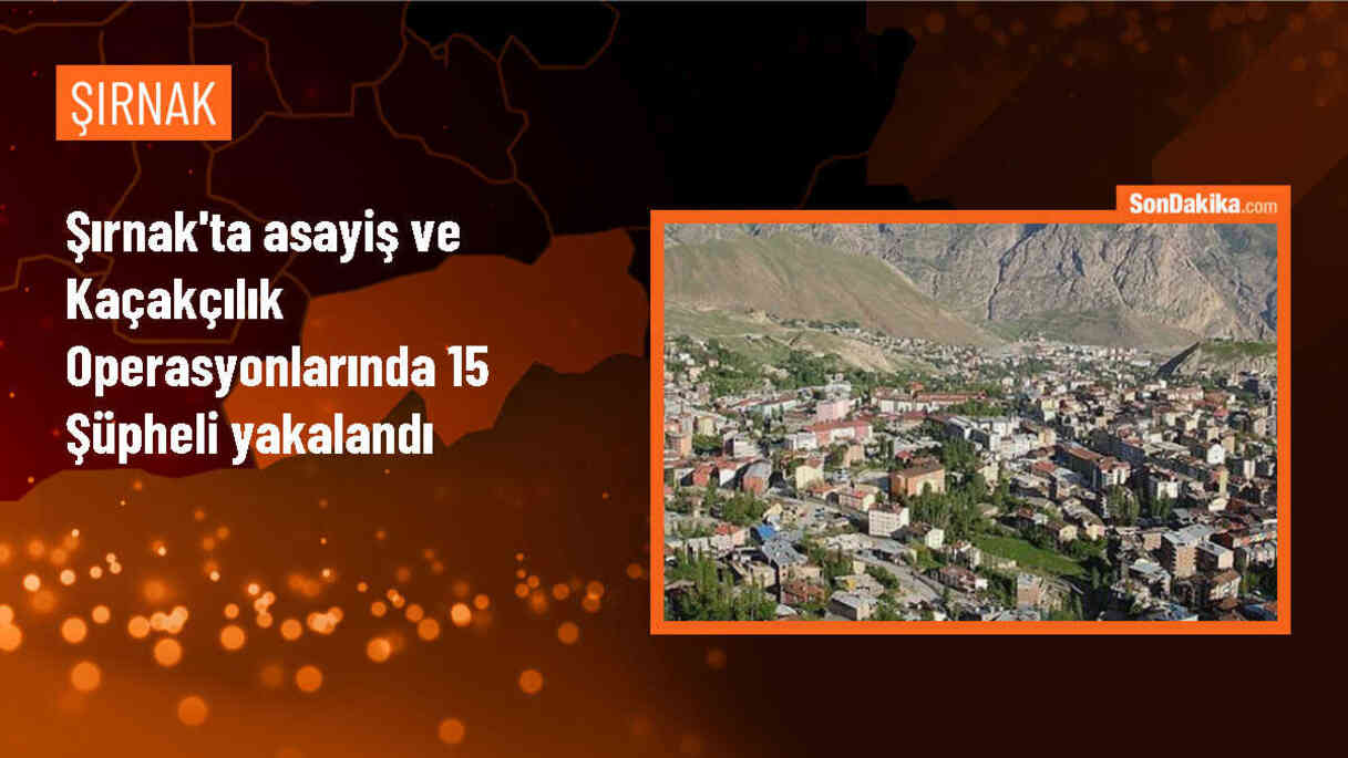 Şırnak\'ta düzenlenen operasyonlarda 15 zanlı yakalandı