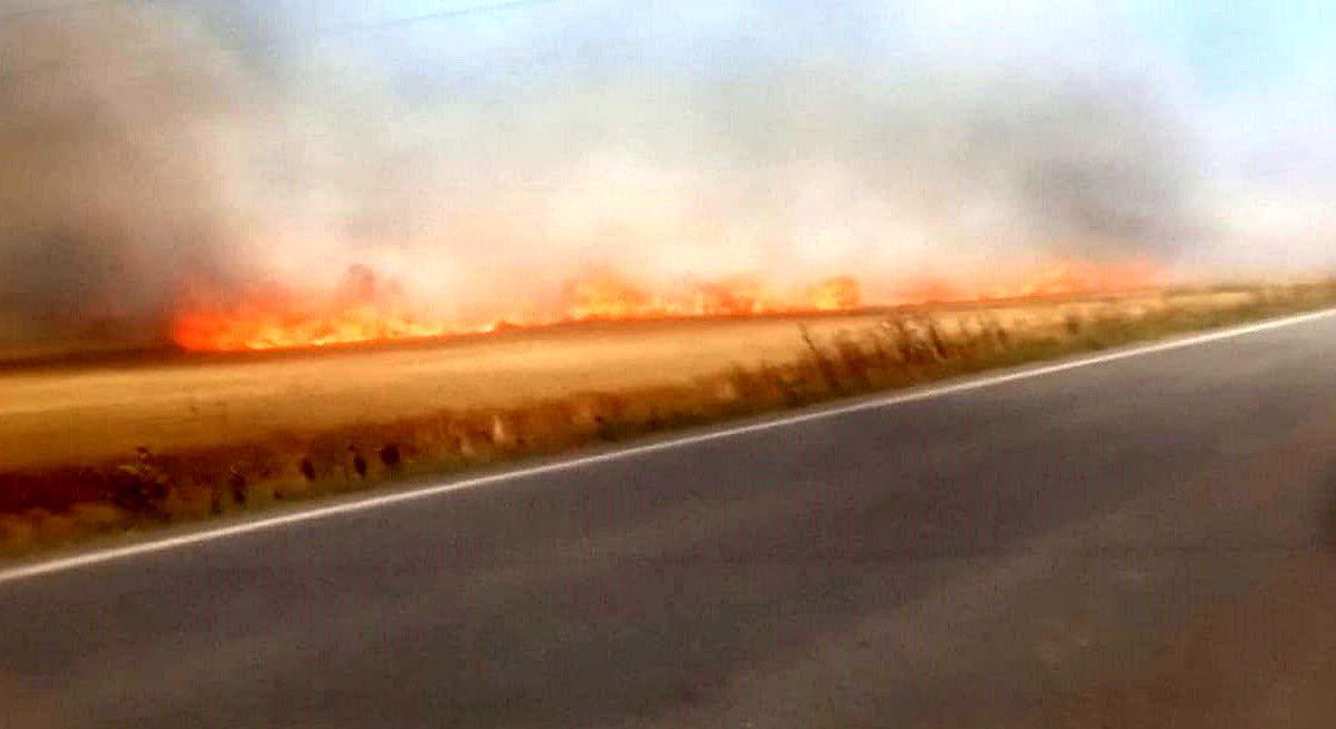 Tekirdağ Ergene\'de Sigara İzmariti Yangını: 180 Dönüm Buğday Tarlası Küle Döndü