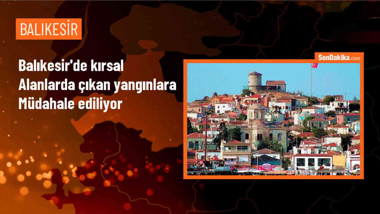 Balıkesir\'in üç ilçesinde kırsal alanlarda yangın çıktı