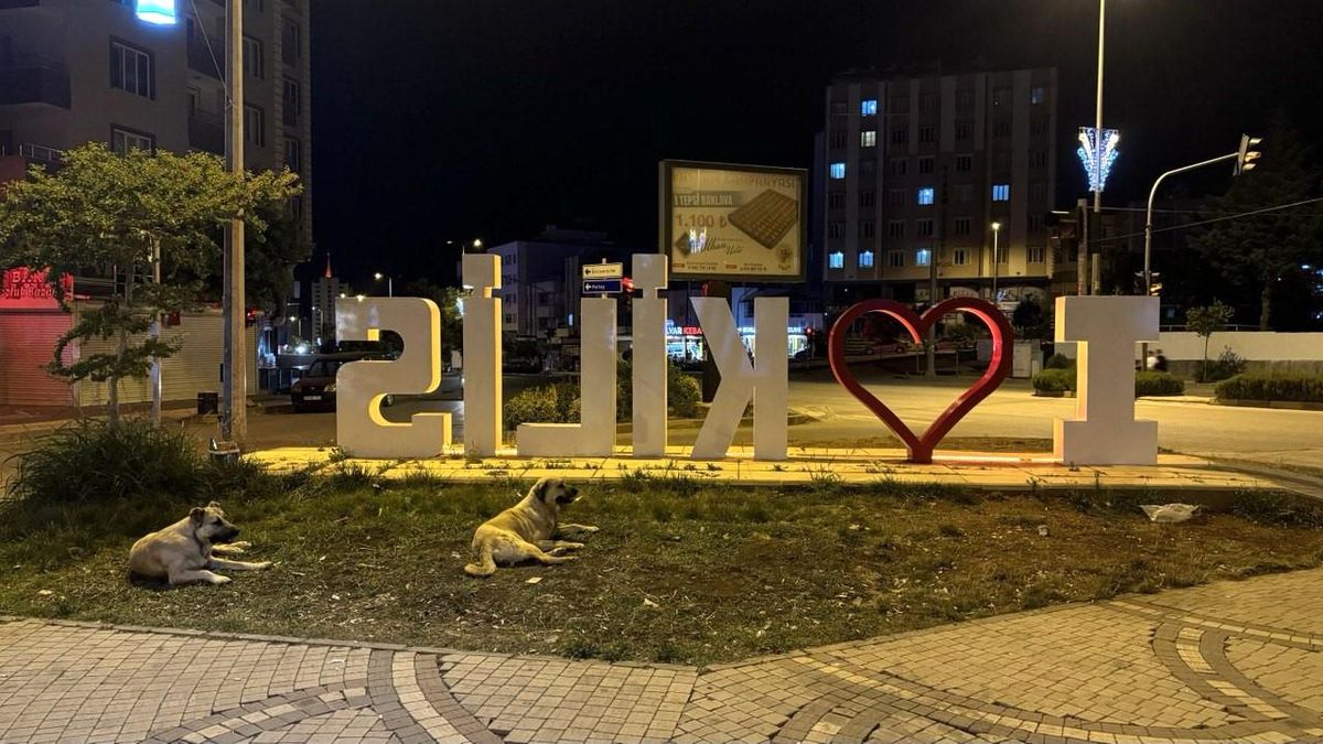 Kilis\'te Başıboş Köpekler Vatandaşları Tehdit Ediyor