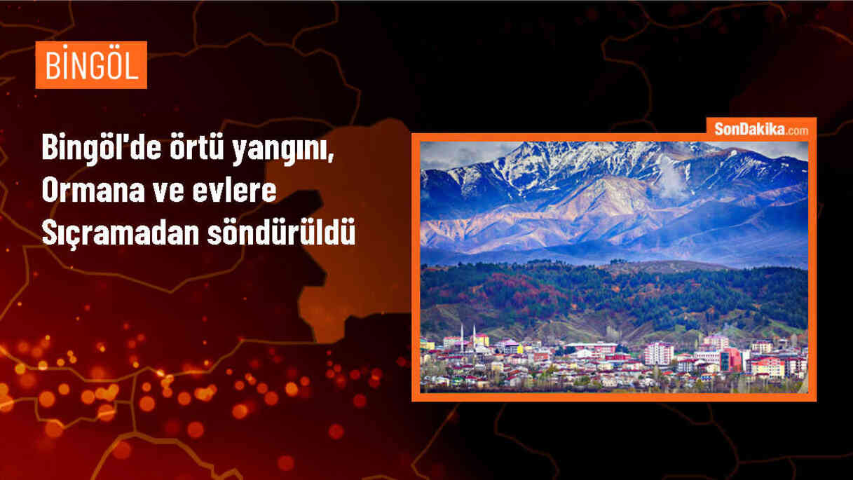Bingöl\'de çıkan örtü yangını kontrol altına alındı
