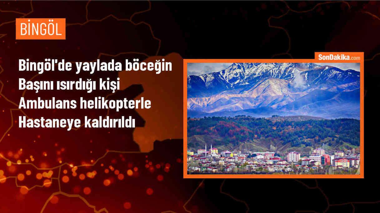 Bingöl\'de böcek ısırması sonucu ambulans helikopterle hastaneye kaldırıldı