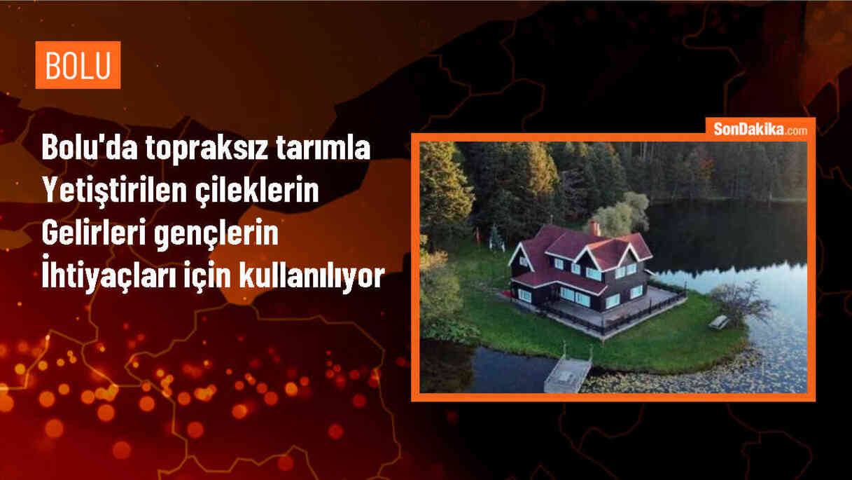 Bolu Gençlik Merkezi\'nde Topraksız Tarımla Çilek Üretimi