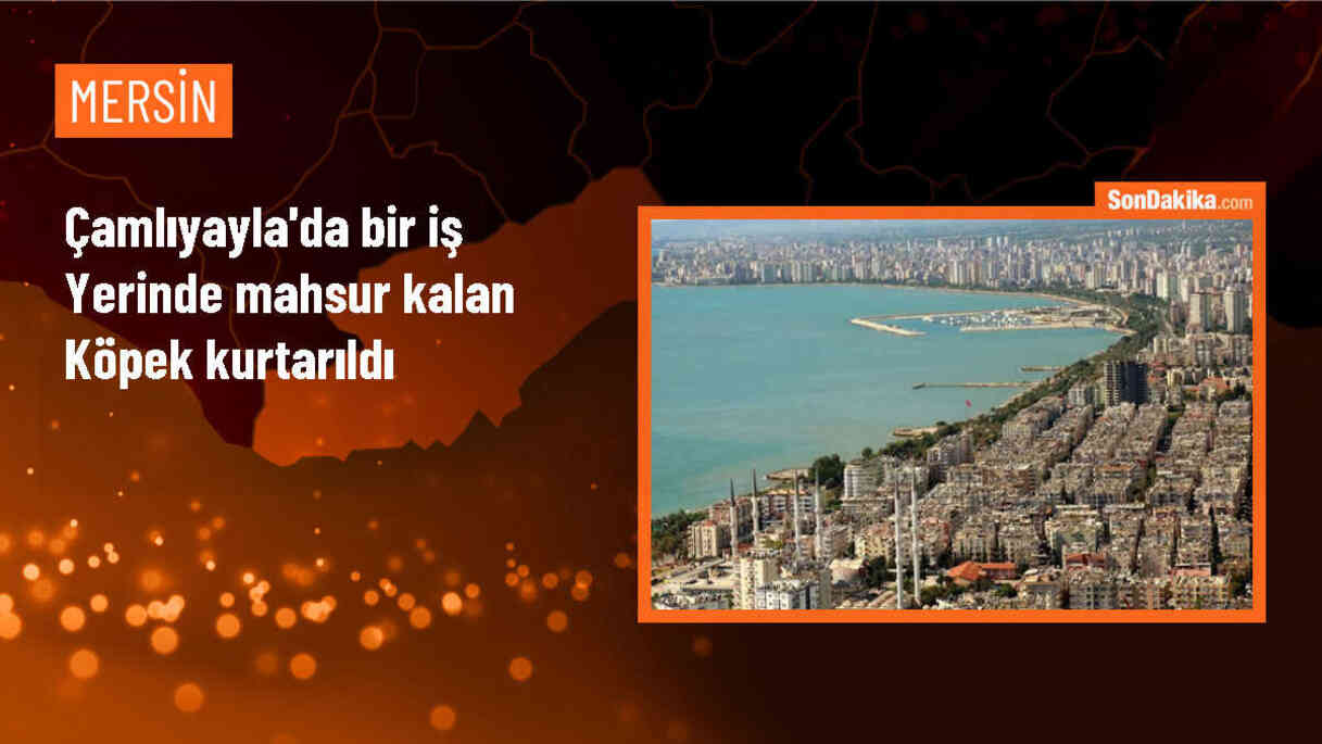 Mersin\'de İş Yerinde Mahsur Kalan Köpek İtfaiye Tarafından Kurtarıldı
