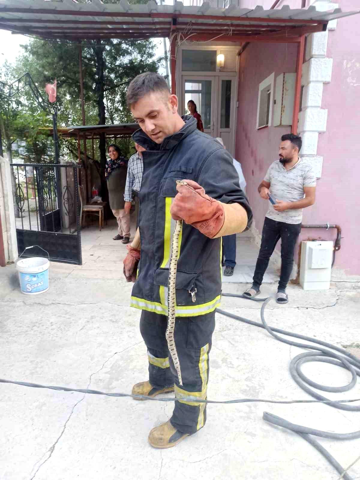 Afyonkarahisar\'da Eve Giren Yılan İtfaiye Tarafından Çıkarıldı