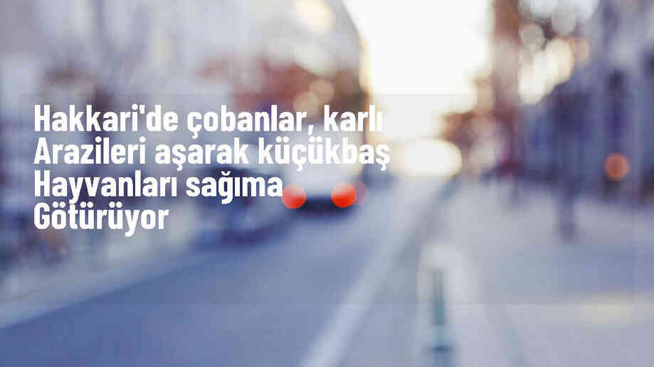 Hakkari\'de Çobanlar Kar Örtüsünü Aşarak Hayvanlarını Sağım Alanlarına Götürüyor