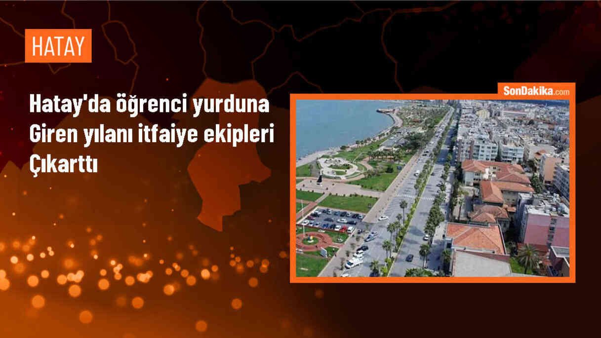Belen\'deki öğrenci yurduna giren yılan doğaya bırakıldı