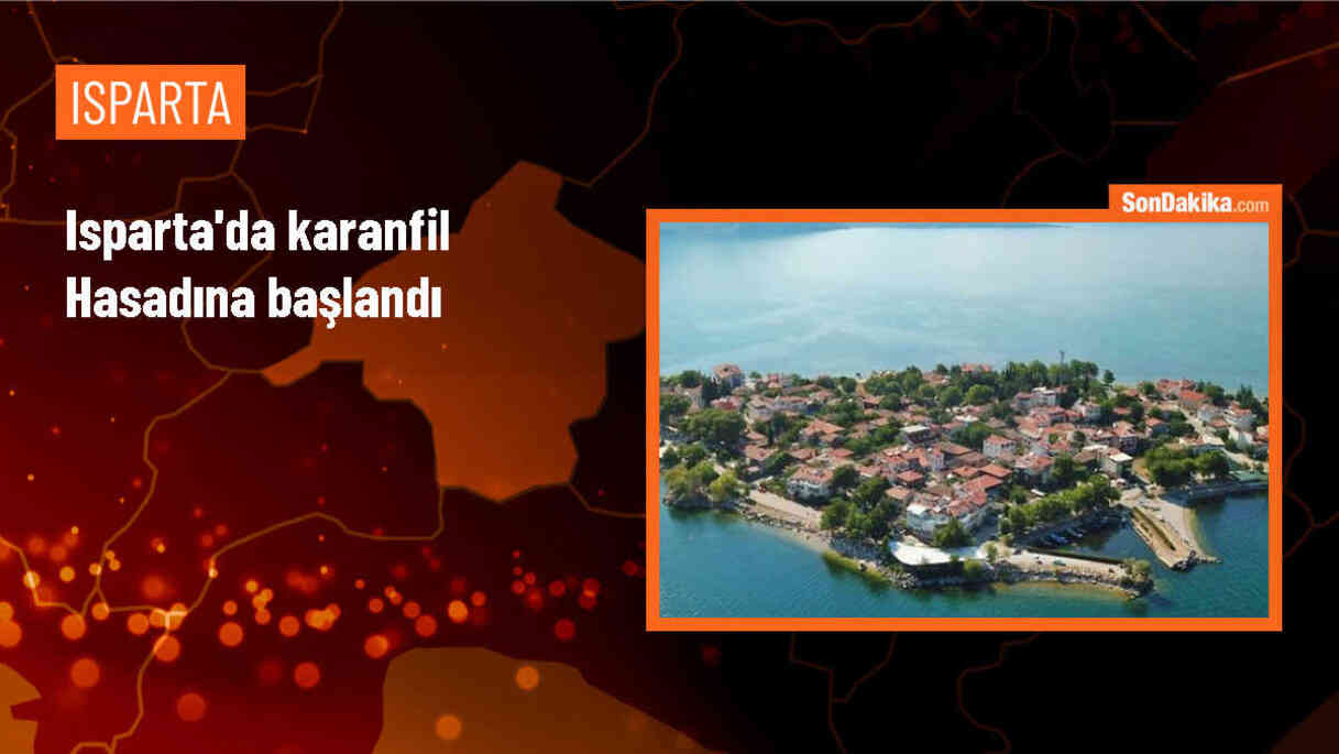 Isparta\'da 2 Bin Dekar Alanda Hasadına Başlanan Karanfilde 300 Milyon Dal Rekolte Bekleniyor