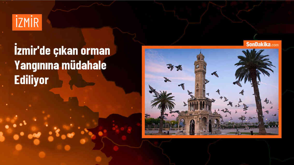 İzmir\'in Kemalpaşa ilçesinde ormanlık alanda yangın çıktı