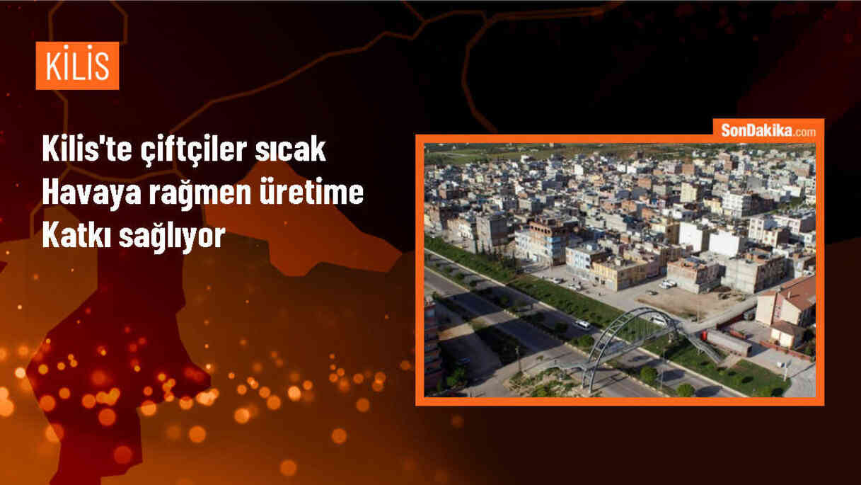 Kilis\'te Sıcak Havalarda Üretim Devam Ediyor