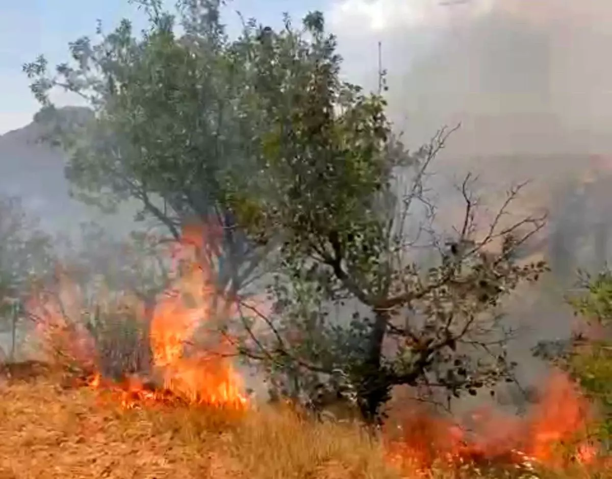 Mardin\'in Yeşilli ilçesinde çıkan yangın kontrol altına alındı