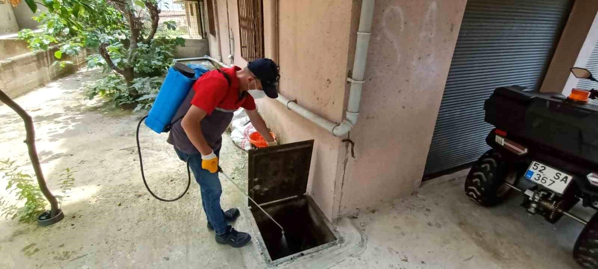 Ordu Büyükşehir Belediyesi Sivrisinek Mücadelesine Devam Ediyor