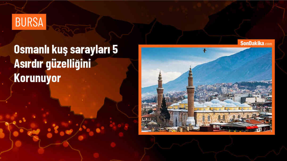 Osmanlı kuş sarayları 5 asırdır güzelliğini korunuyor