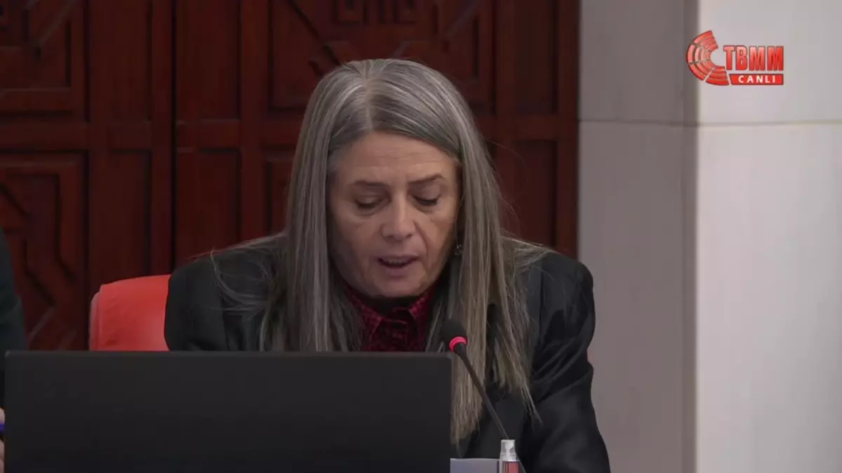 TBMM Genel Kurulu, çalışmalarına 31 Temmuz\'a kadar devam edecek