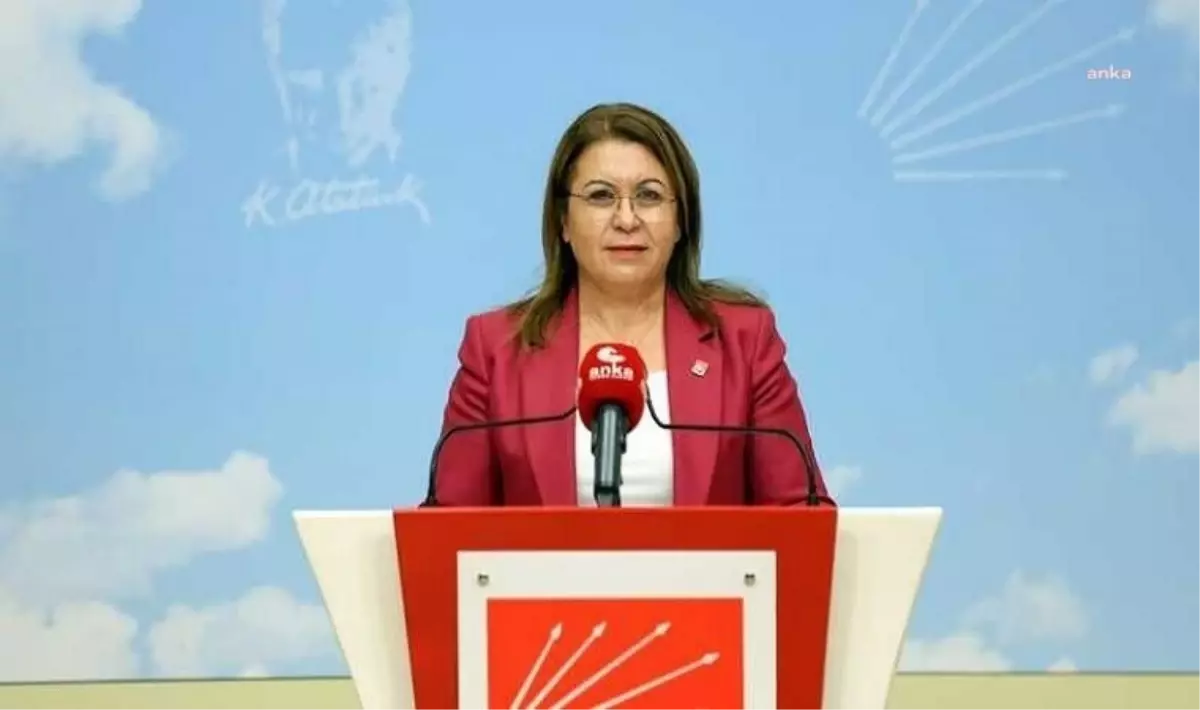 CHP Milletvekili Gülizar Biçer Karaca, akciğer ameliyatı oldu