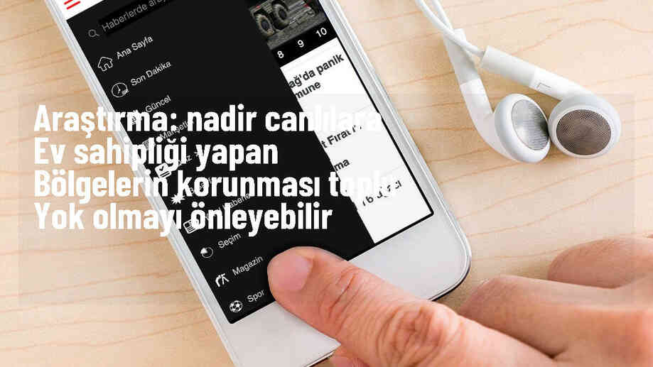Koruma Altında Olmayan Alanların Korunması Nadir Türlerin Yok Olmasını Önleyebilir