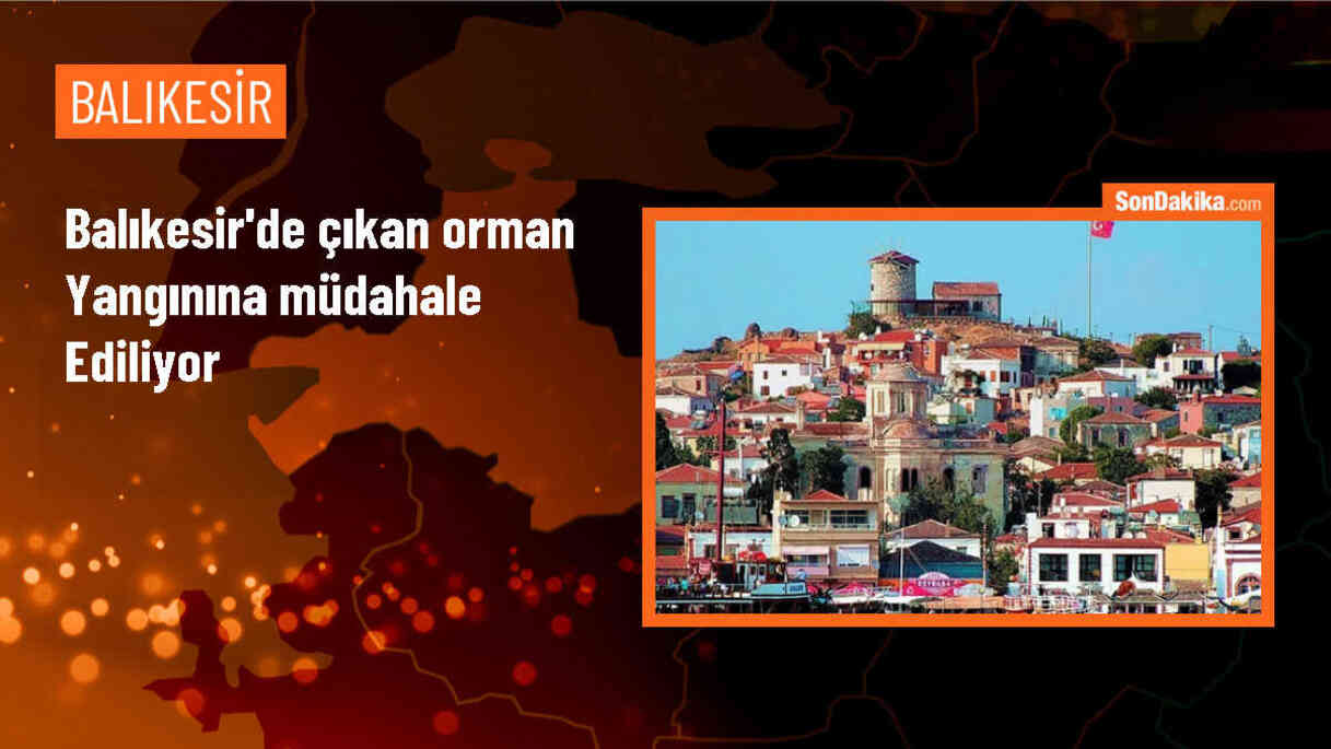 Balıkesir\'de Tarım Arazisinde Çıkan Yangın Kontrol Altına Alınmaya Çalışılıyor