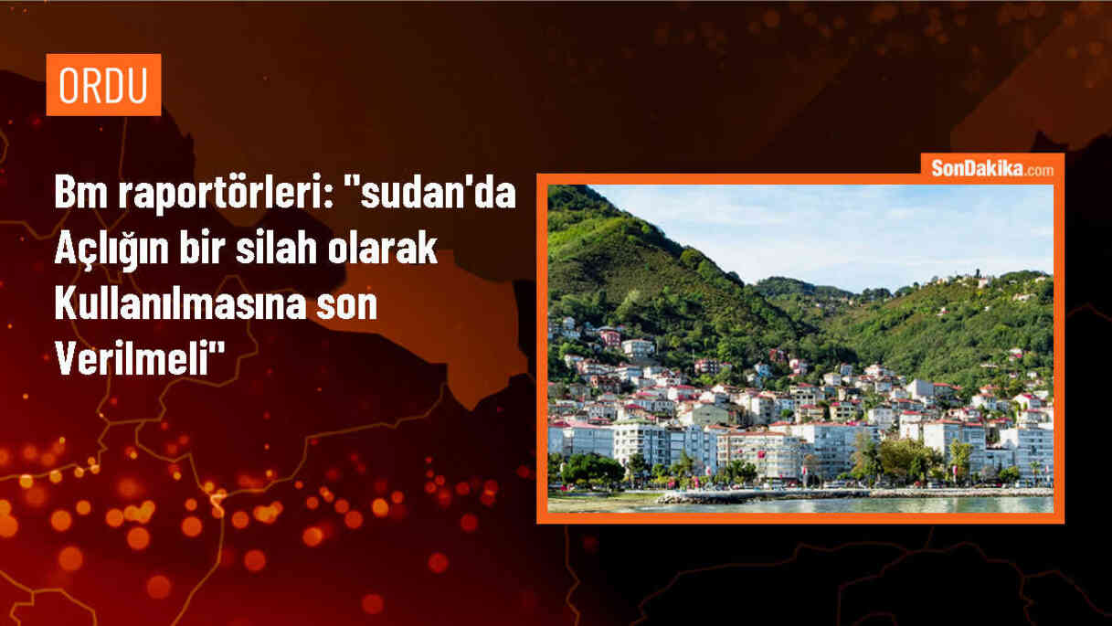 BM, Sudan\'da Açlığın Silah Olarak Kullanılmasına Son Verilmesini İstedi