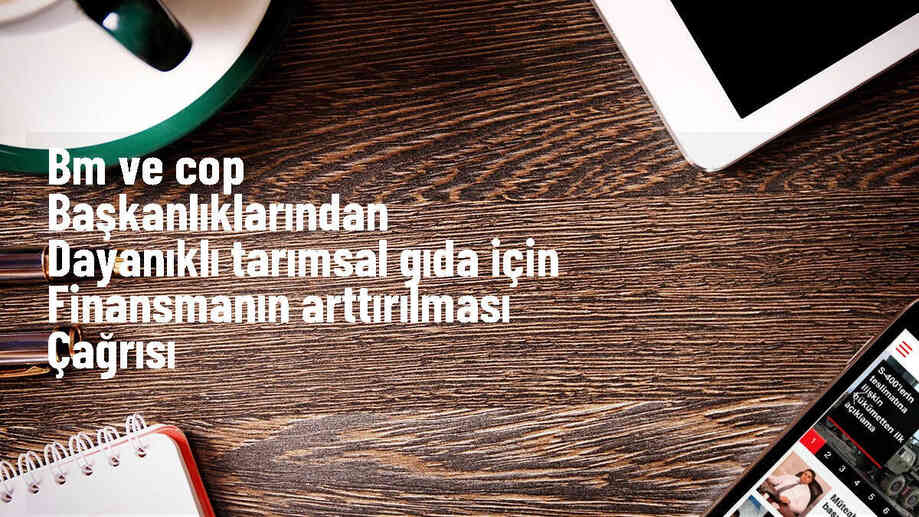 BM, hassas bölgelerde dayanıklı tarımsal gıda sistemleri için iklim eylemi ve finansmanın artırılmasını talep etti