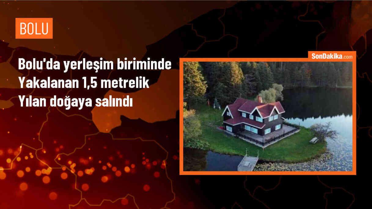 Bolu\'da apartman önünde yakalanan yılan doğaya salındı