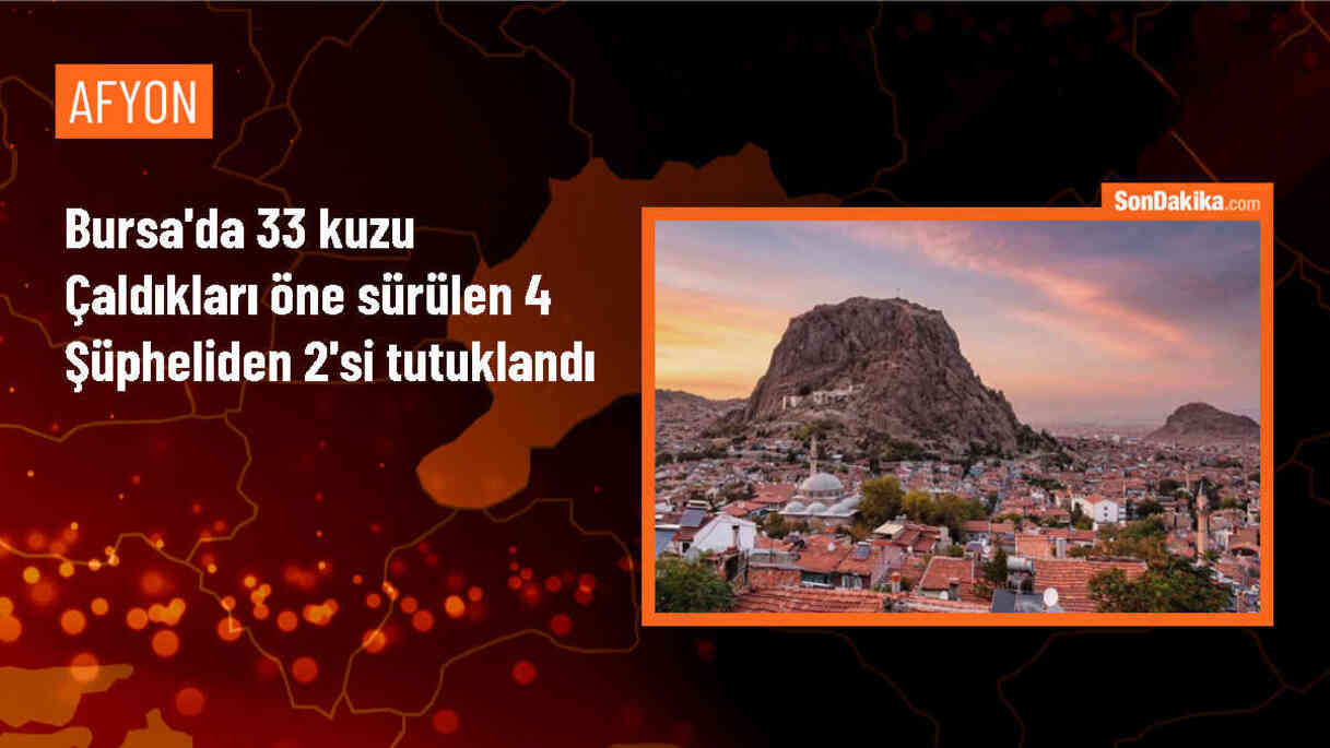 Afyonkarahisar\'dan Bursa\'ya giden besicinin 33 kuzusu çalındı