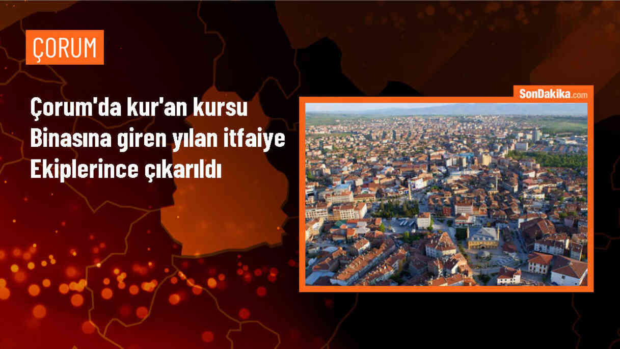 Çorum\'un Alaca ilçesinde Kur\'an kursu binasına giren yılan itfaiye ekiplerince çıkarıldı