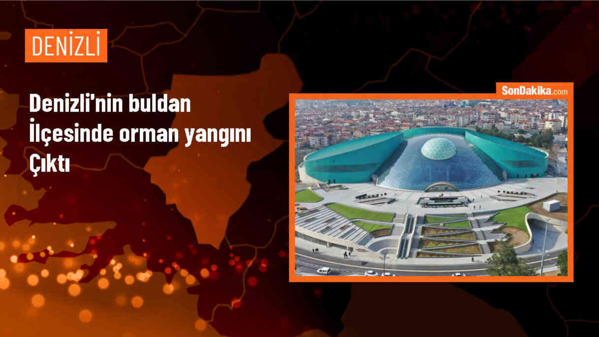 Denizli\'nin Buldan ilçesinde orman yangını çıktı